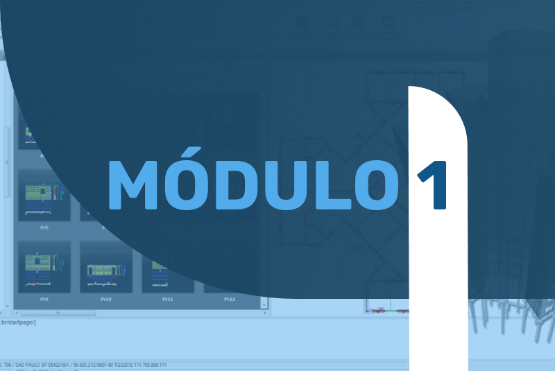 Módulo 1 - Concepção estrutural